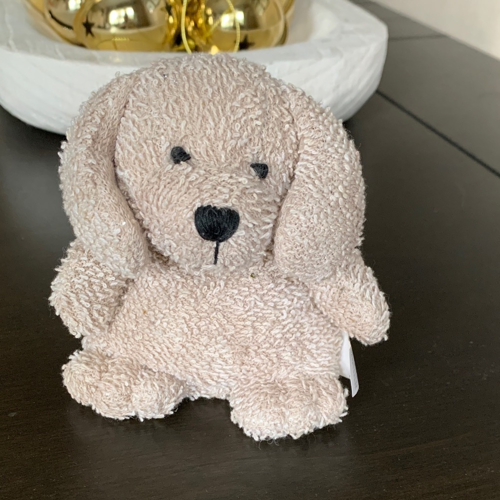 Russ tan puppy